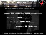 cartell apv desembre 2011.JPG
