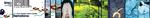 imc-banner_021208.jpg