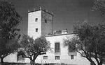 1_TORRE.jpg