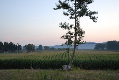 foto2.JPG