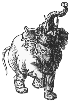 elephant.png