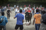 mg_9662-copy.jpg
