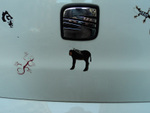 DSC00341.jpg