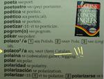 polaco.jpeg