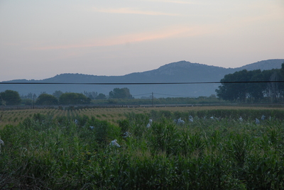 foto3.JPG