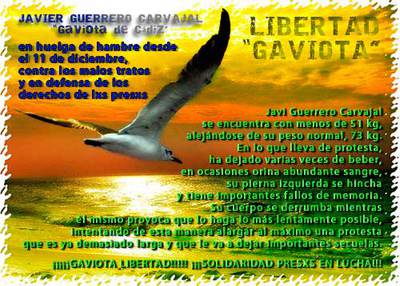 LIBERTAD-GAVIOTAweb.jpg