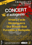 concert.jpg