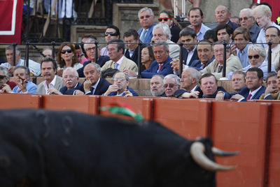 magistrados_juntos_toros.jpg