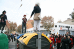 IMG_7995.GIF