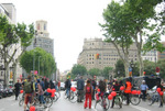 blokebicis2.jpeg