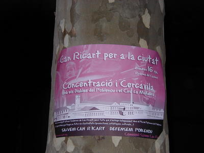 P1012386.JPG