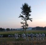 foto.JPG
