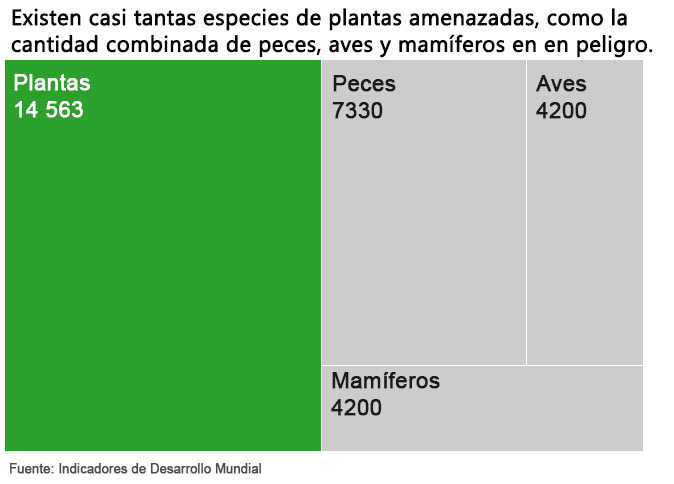 amenaza ecosistema